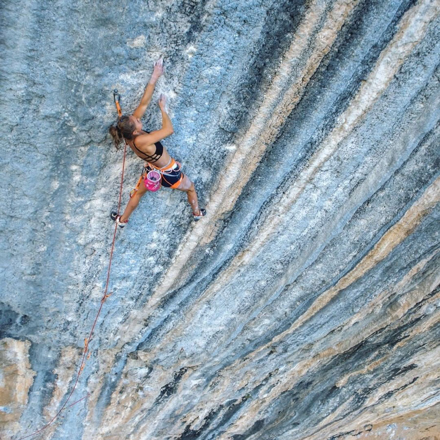 expert