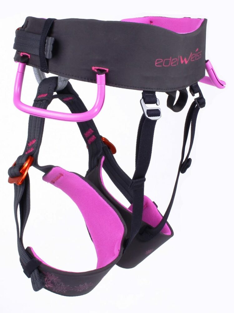 edelweiss sword fuchsia