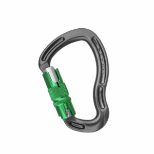 dmm sentinel