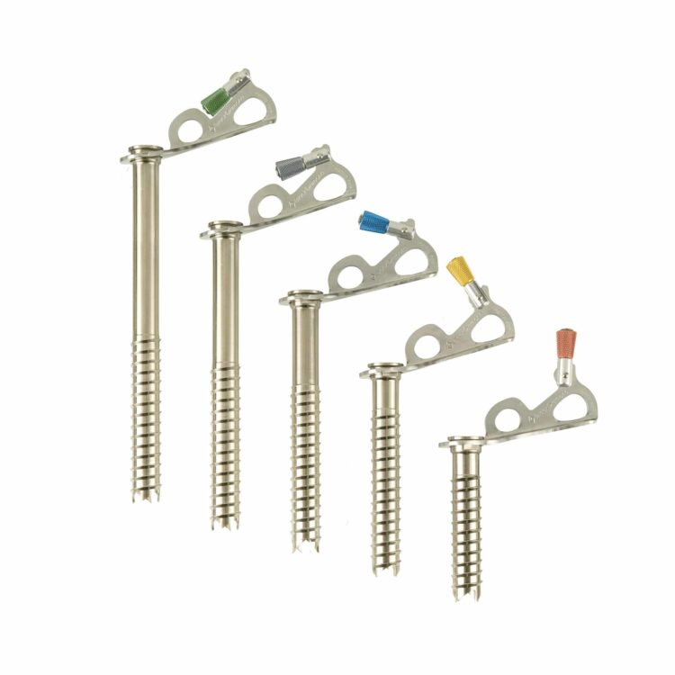 black diamond express ice screw