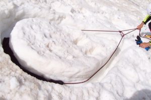 doppia_fungo_neve