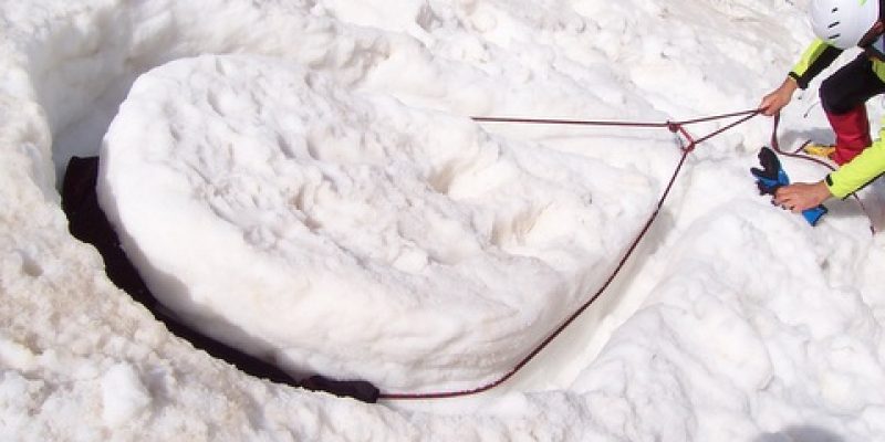 doppia_fungo_neve