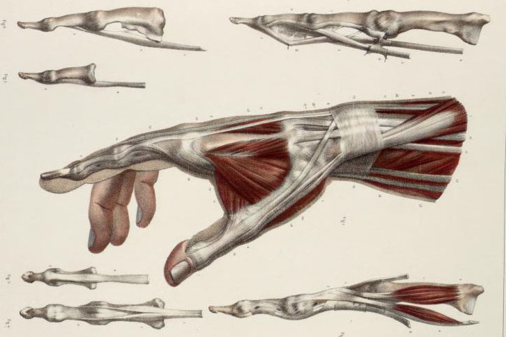 arcuare