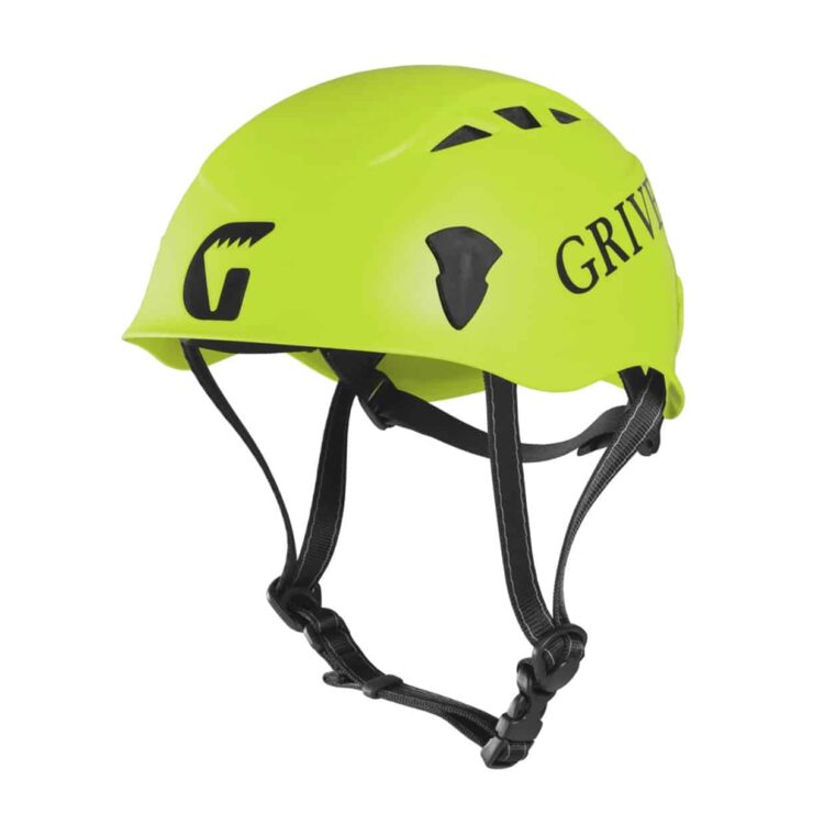salamander verde
