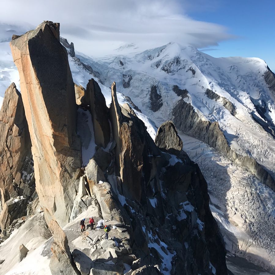 Cosmiques