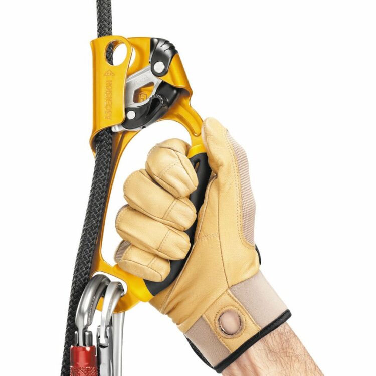petzl ascension