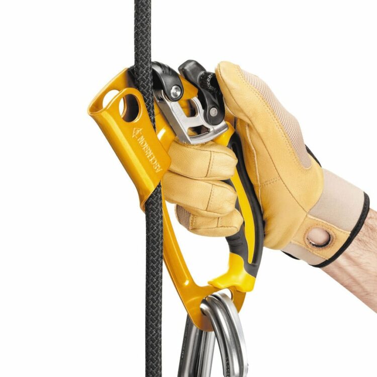 petzl ascension