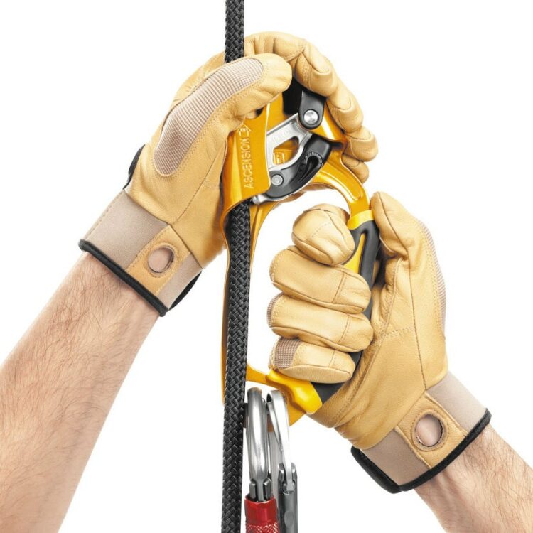 petzl ascension
