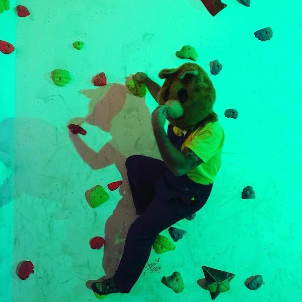 arrampicata indoor
