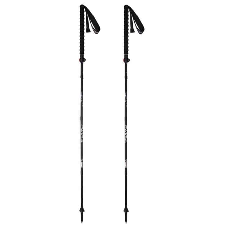 sky carbon plus
