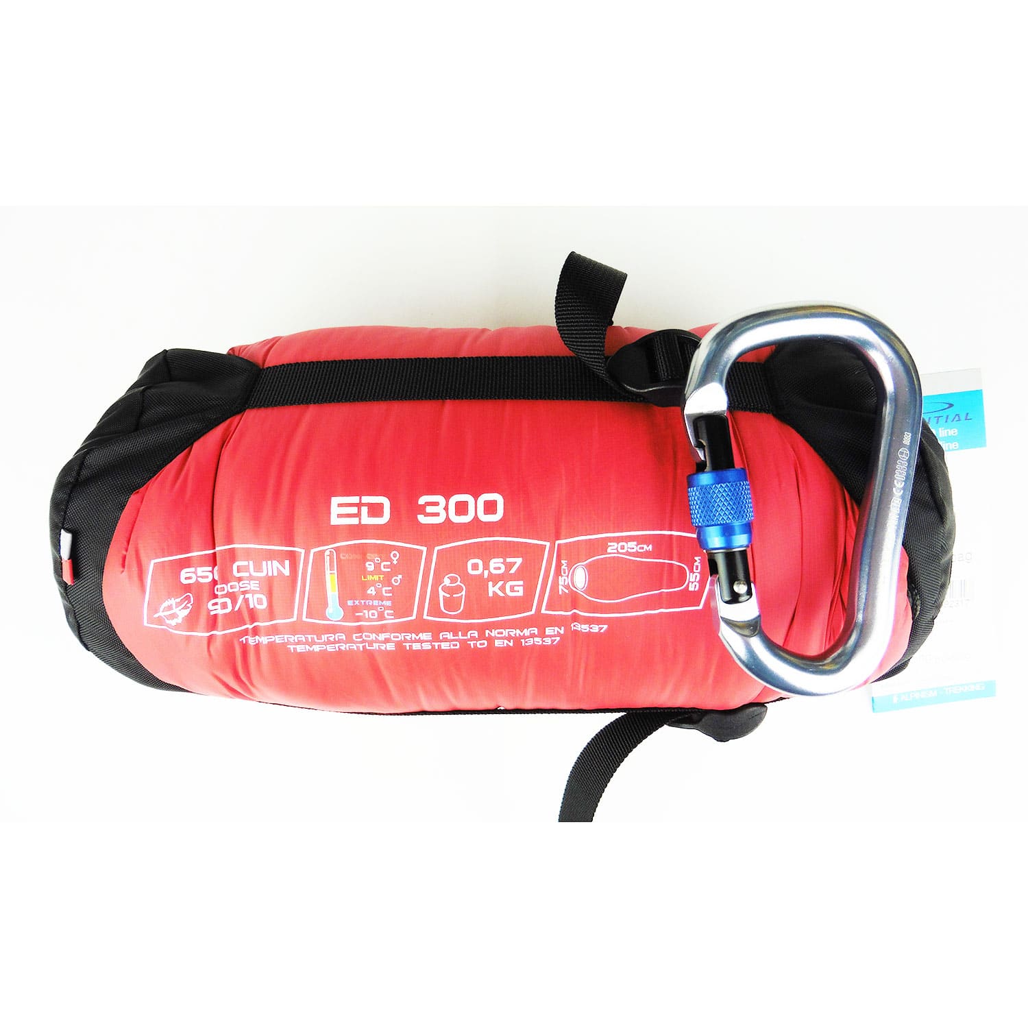 camp ed 300