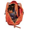petzl kliff