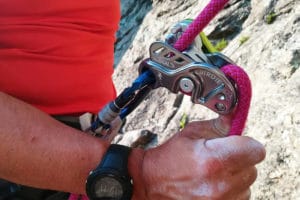 beal birdie recensione