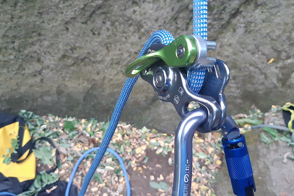 beal birdie recensione