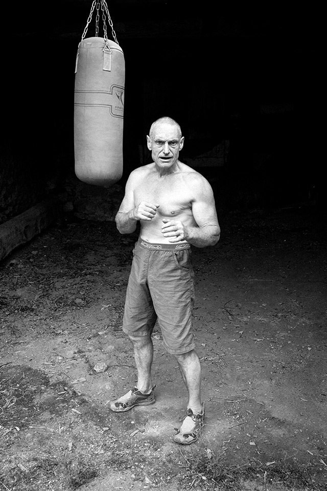 stevie haston