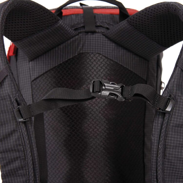blue ice squirrel 12 black