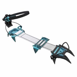 Blue ice harfang
