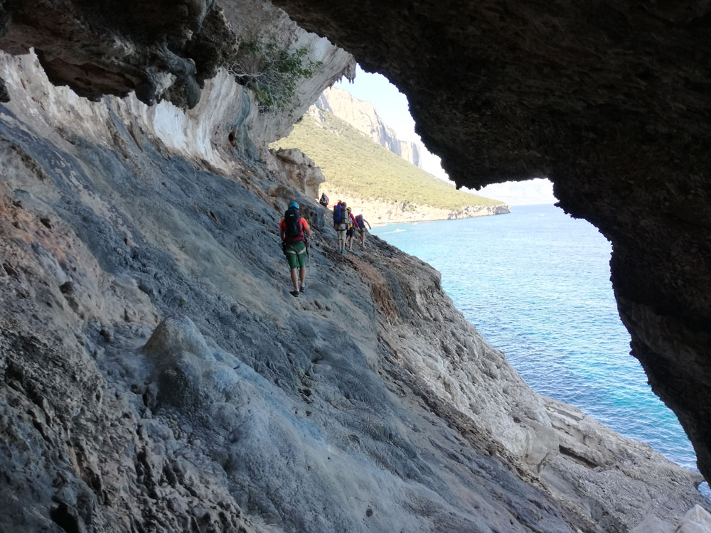 selvaggio blu