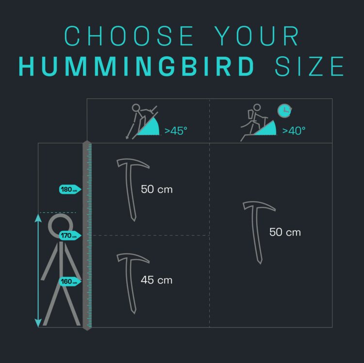 blue ice Hummingbird