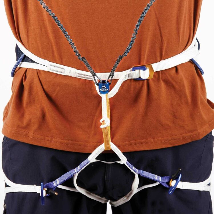 blue hydra leash