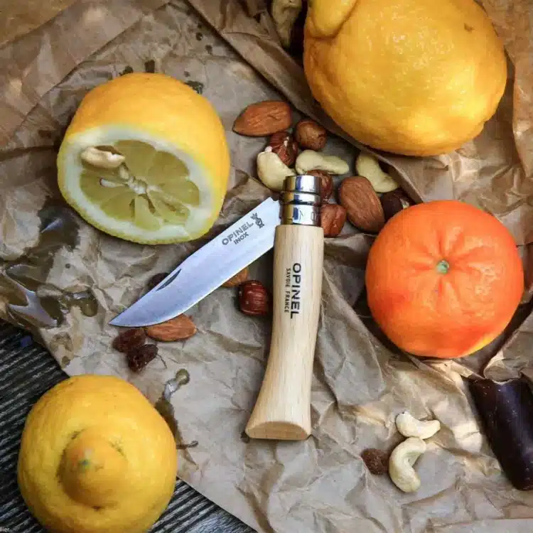Opinel Tradition n°08 INOX coltello da outdoor - immagine 3