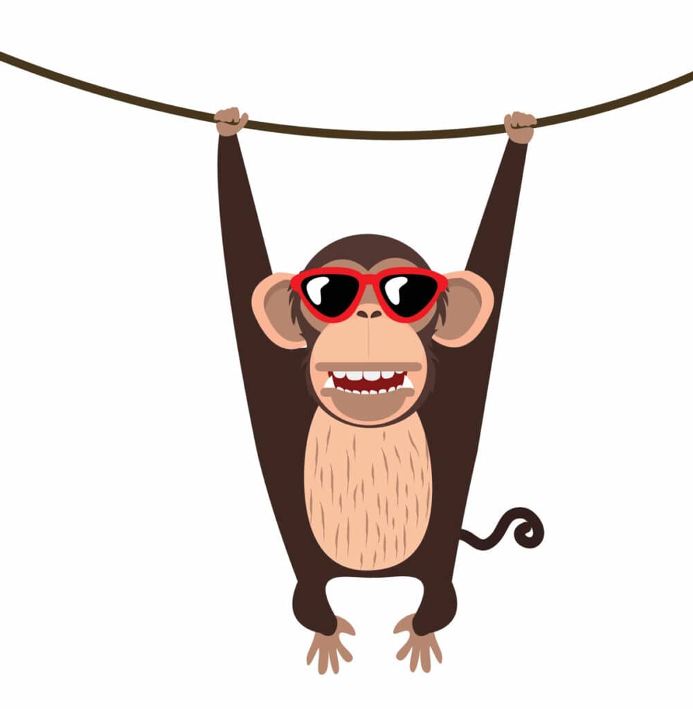 donkey monkey