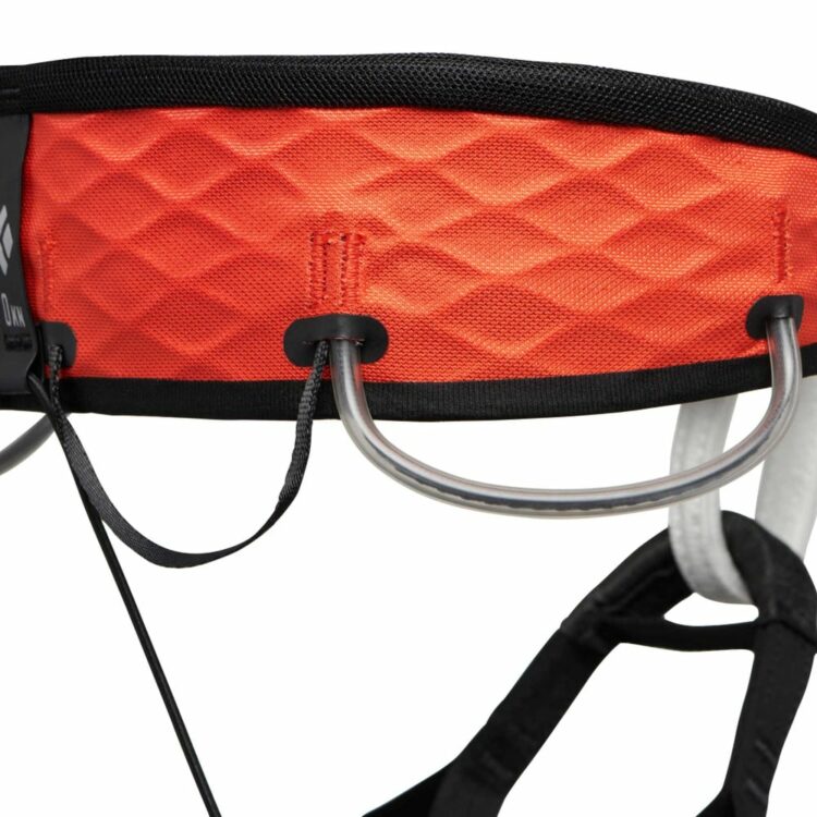 black diamond airnet