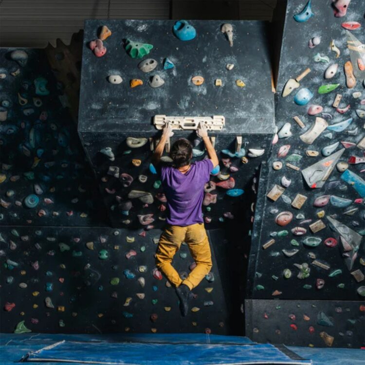 verticalboard evo